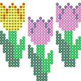 Tulpen