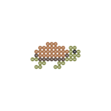 Schildkröte klein